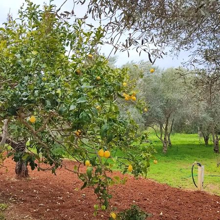 Casa Vacanze Da Nonna Mela Alghero Eksteriør bilde
