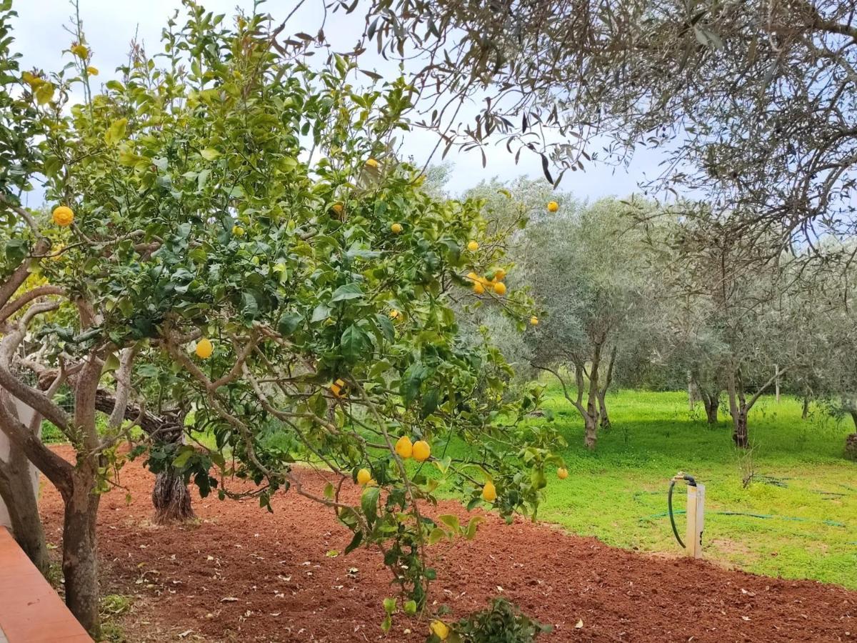Casa Vacanze Da Nonna Mela Alghero Eksteriør bilde